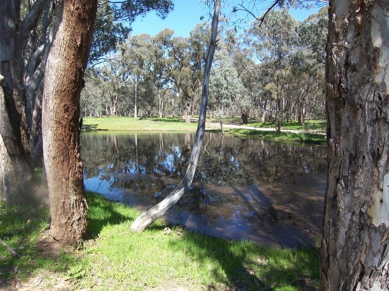 Lots 8 & 9 Boswell Road, Lockwood VIC 3551