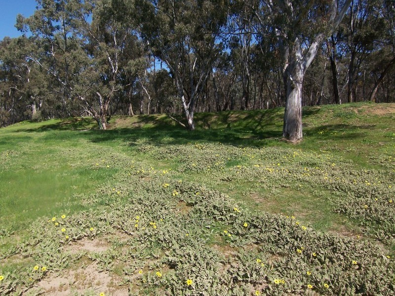 Lots 8 & 9 Boswell Road, Lockwood VIC 3551