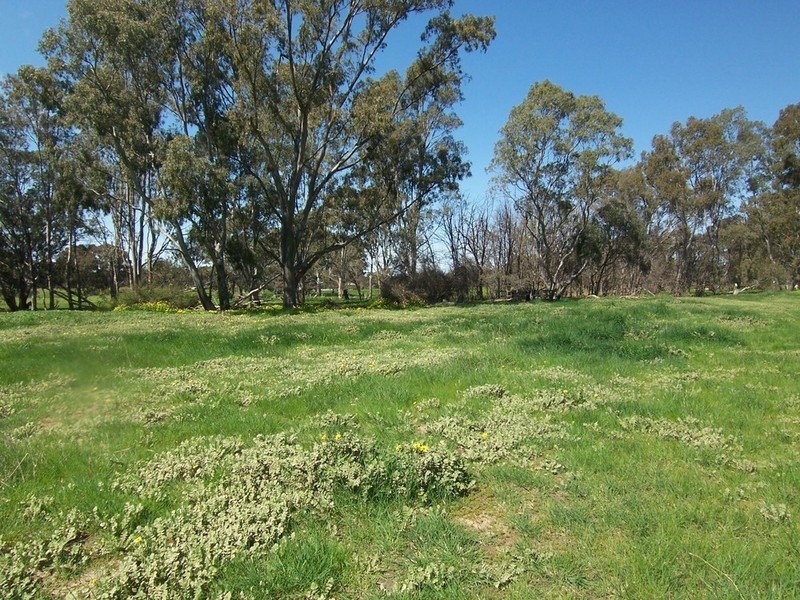 Lots 8 & 9 Boswell Road, Lockwood VIC 3551