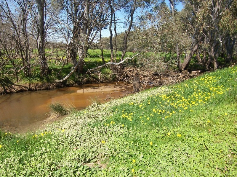 Lots 8 & 9 Boswell Road, Lockwood VIC 3551