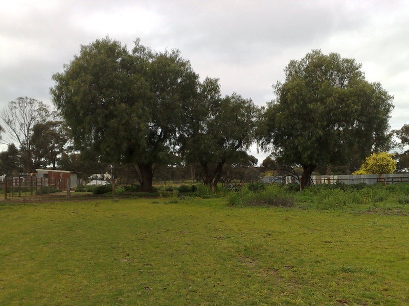 5 Sullivan Street, Inglewood VIC 3517