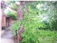 40 Carpenter Street, Quarry Hill VIC 3550