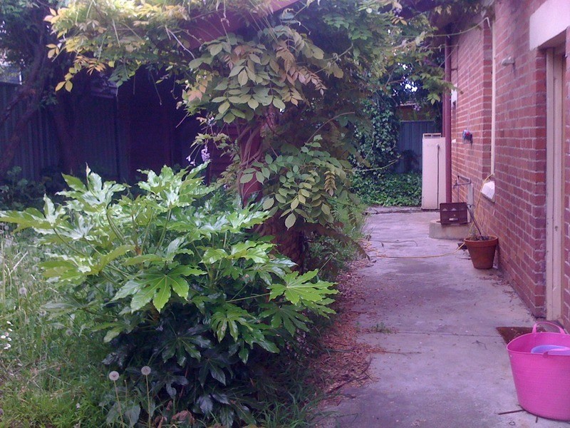 40 Carpenter Street, Quarry Hill VIC 3550
