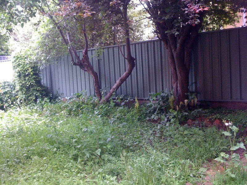40 Carpenter Street, Quarry Hill VIC 3550