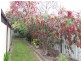 35 Arblaster Street, California Gully VIC 3556