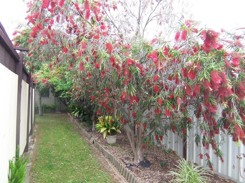 35 Arblaster Street, California Gully VIC 3556