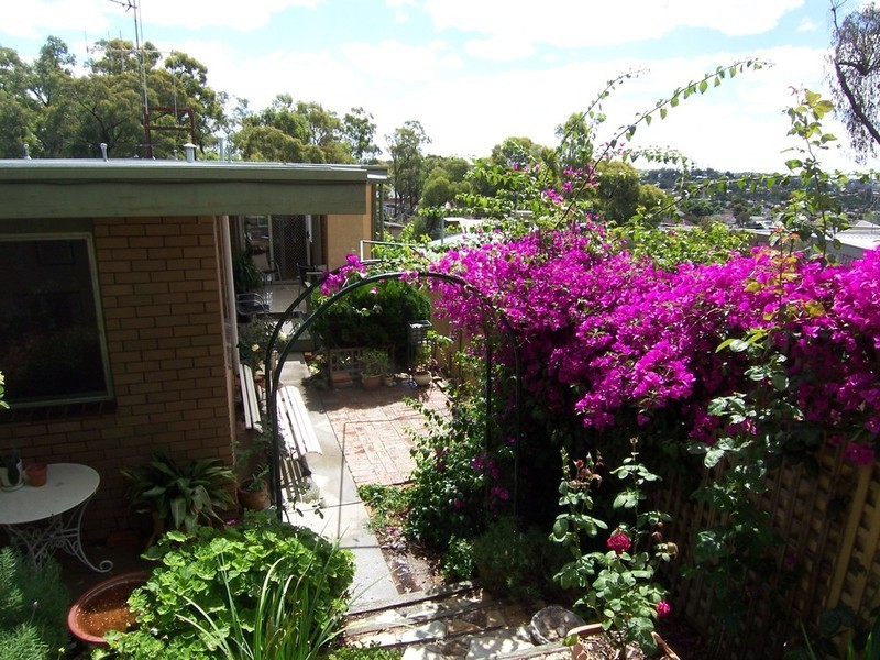 57 Race Street, Flora Hill VIC 3550