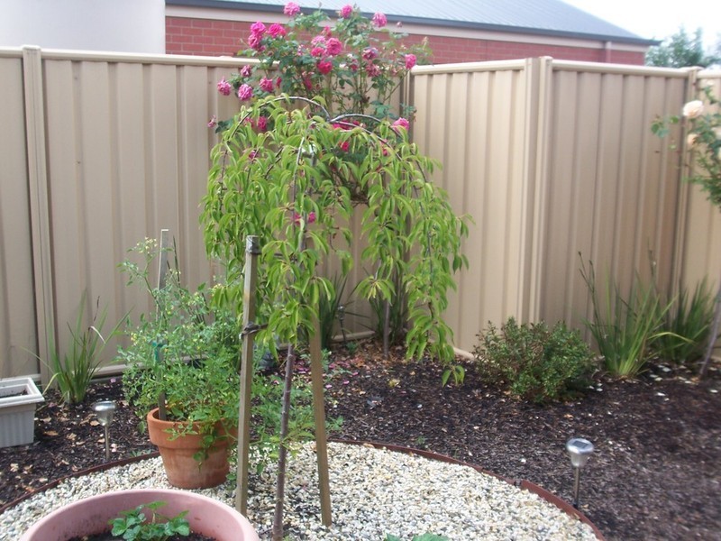 2/16 Station Street, Kangaroo Flat VIC 3555