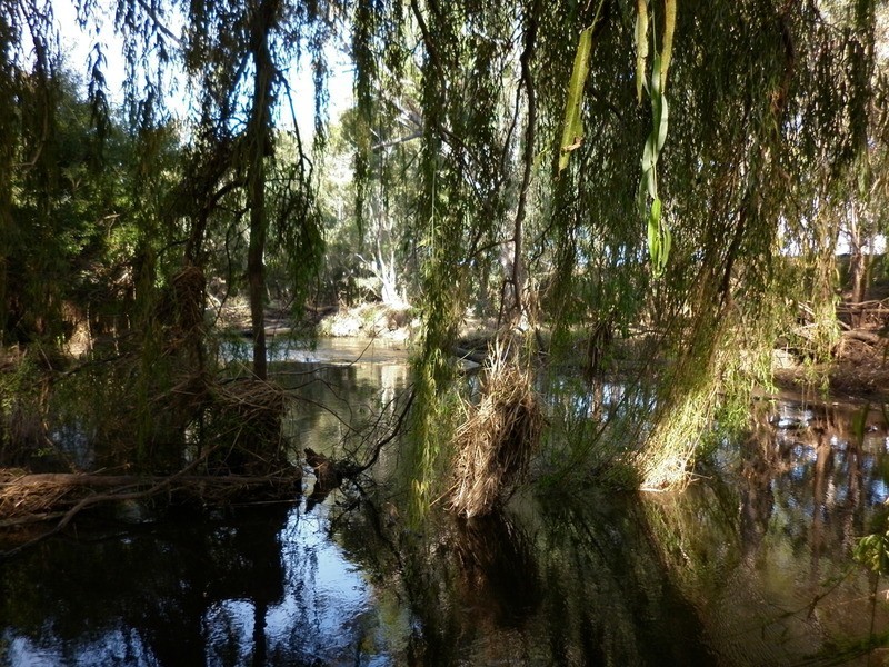 24 William Street, Axedale VIC 3551