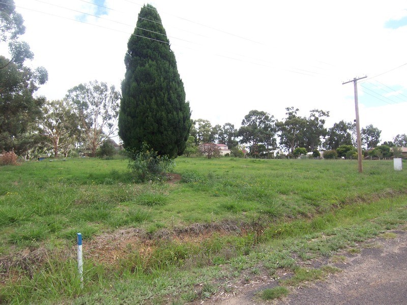 24 William Street, Axedale VIC 3551