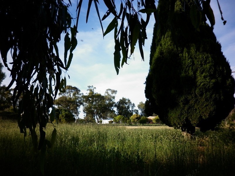 24 William Street, Axedale VIC 3551