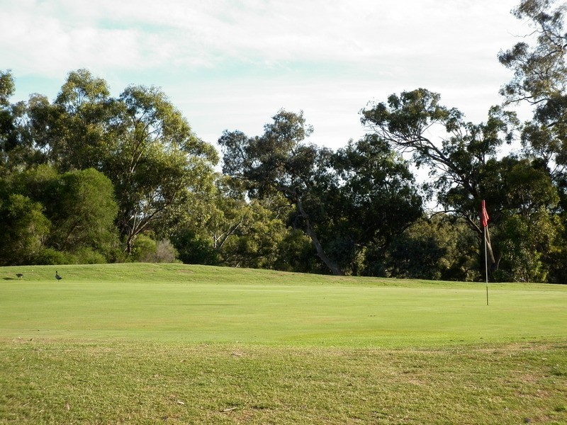 24 William Street, Axedale VIC 3551