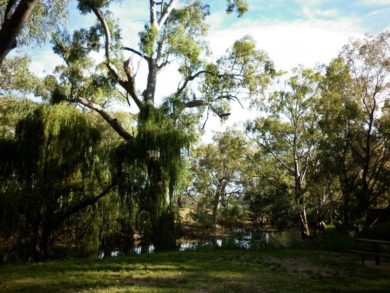 24 William Street, Axedale VIC 3551