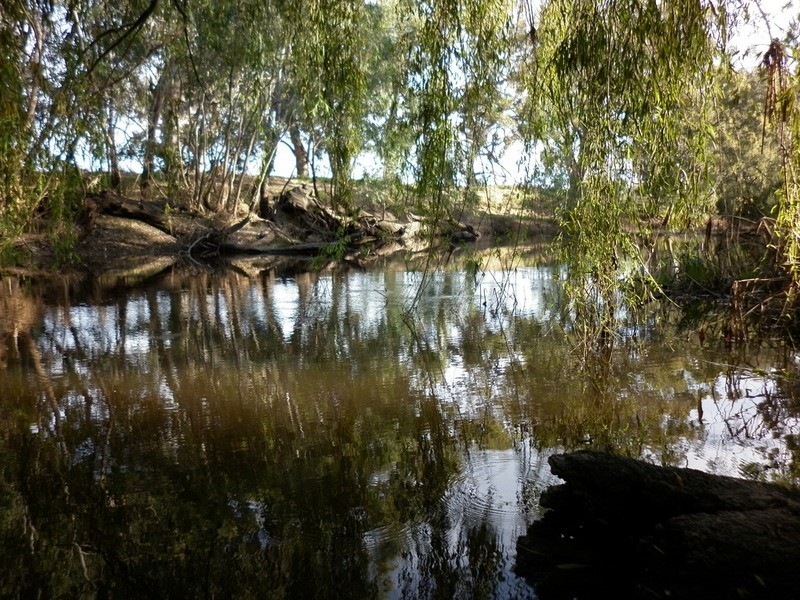 24 William Street, Axedale VIC 3551