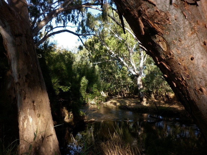 24 William Street, Axedale VIC 3551