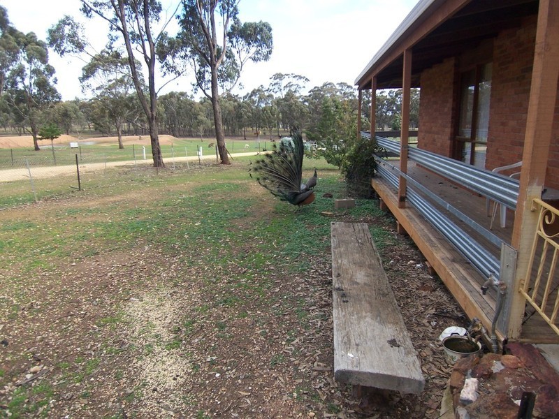 109 Sommerville Road, Wedderburn VIC 3518