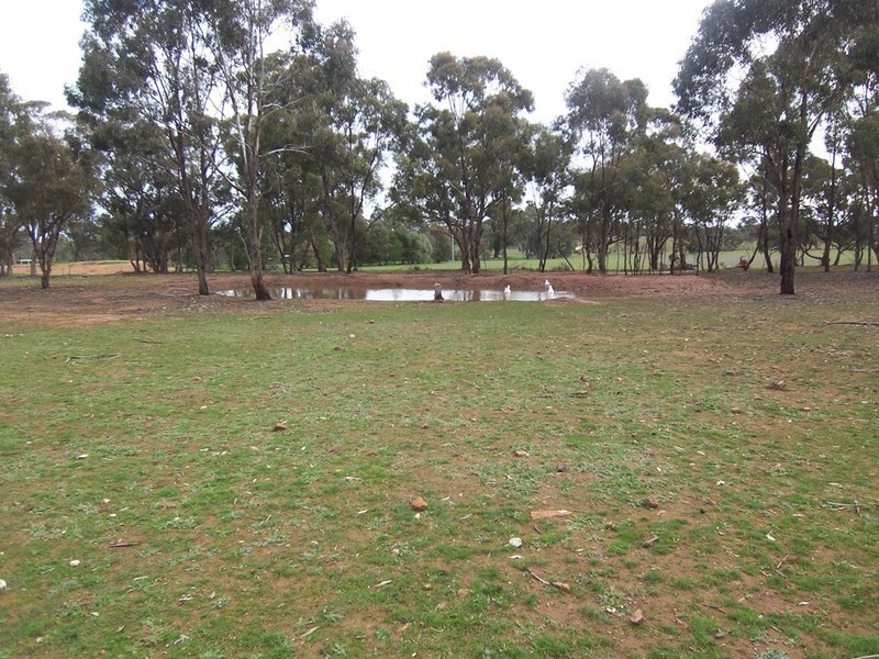 109 Sommerville Road, Wedderburn VIC 3518