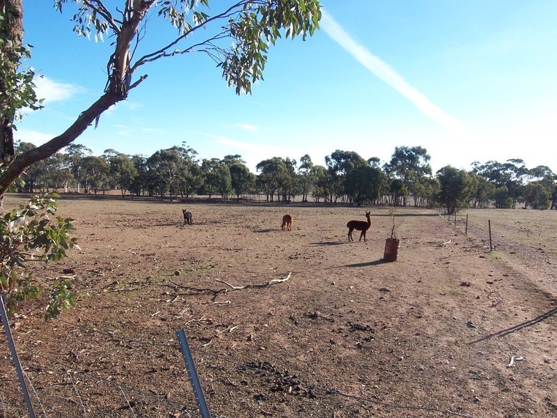 109 Sommerville Road, Wedderburn VIC 3518