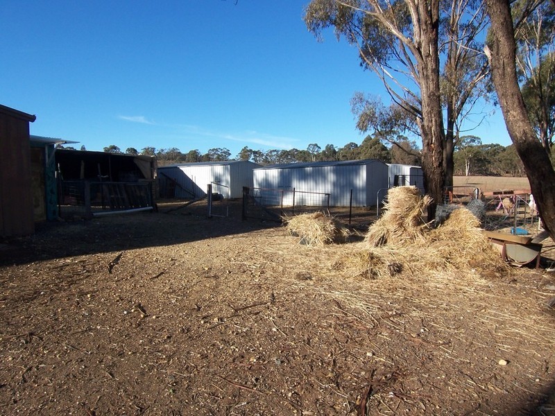 109 Sommerville Road, Wedderburn VIC 3518