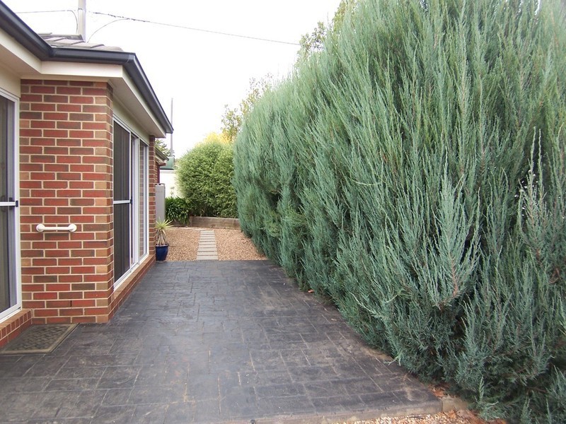 3/32 Bay Street, Golden Square VIC 3555