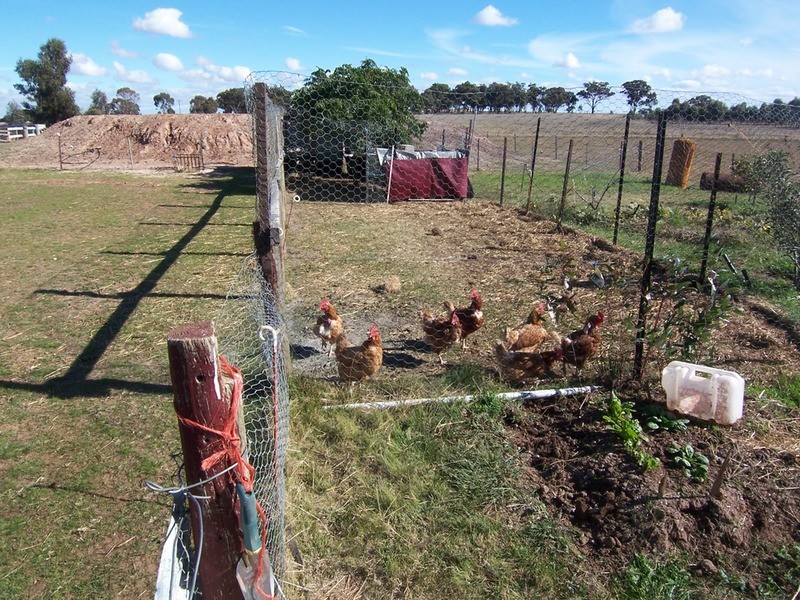 81 Thomas Lane, Neilborough VIC 3570