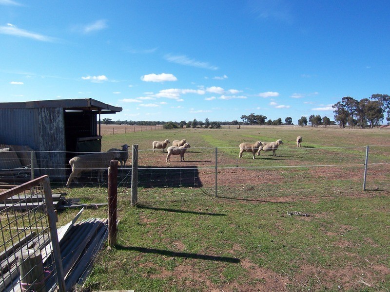 81 Thomas Lane, Neilborough VIC 3570