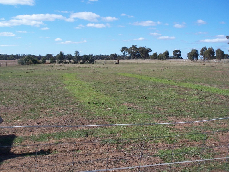 81 Thomas Lane, Neilborough VIC 3570