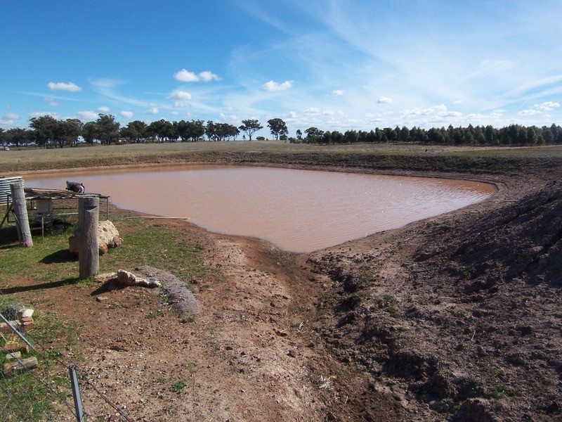 81 Thomas Lane, Neilborough VIC 3570