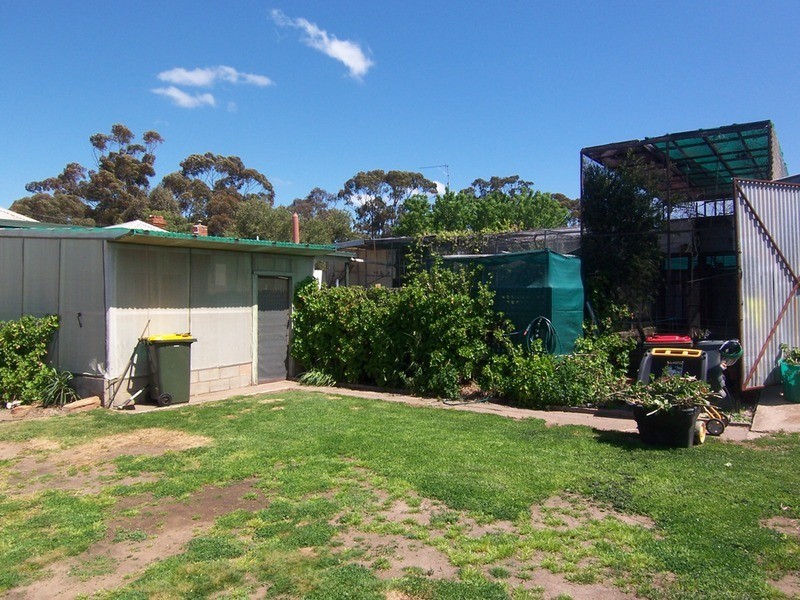 24 Rede Street, Wedderburn VIC 3518