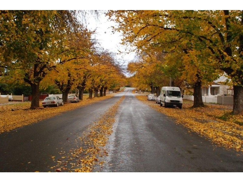 93 Mundy Street, Bendigo VIC 3550