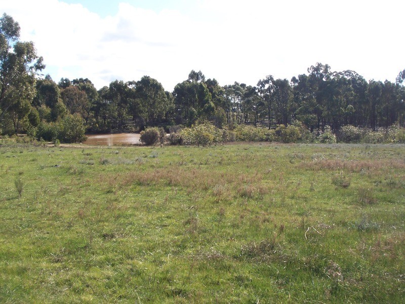 445 Native Gully Crescent, Strathfieldsaye VIC 3551