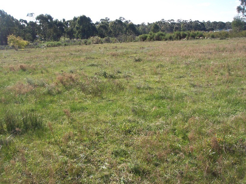 445 Native Gully Crescent, Strathfieldsaye VIC 3551