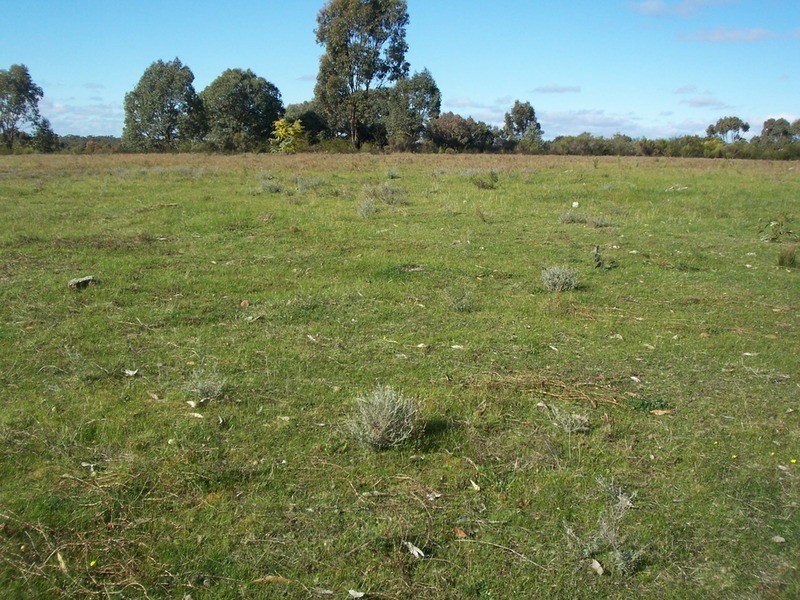 445 Native Gully Crescent, Strathfieldsaye VIC 3551