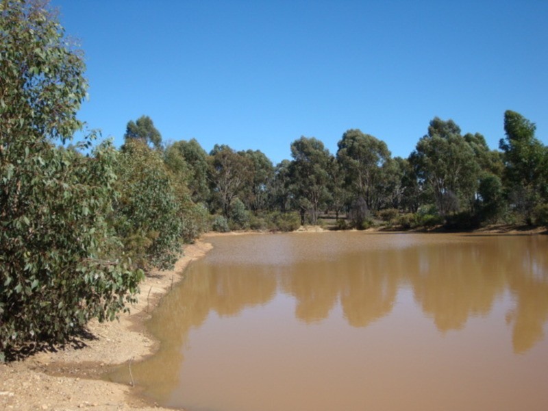 445 Native Gully Crescent, Strathfieldsaye VIC 3551