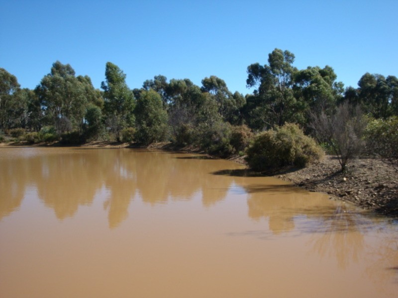 445 Native Gully Crescent, Strathfieldsaye VIC 3551