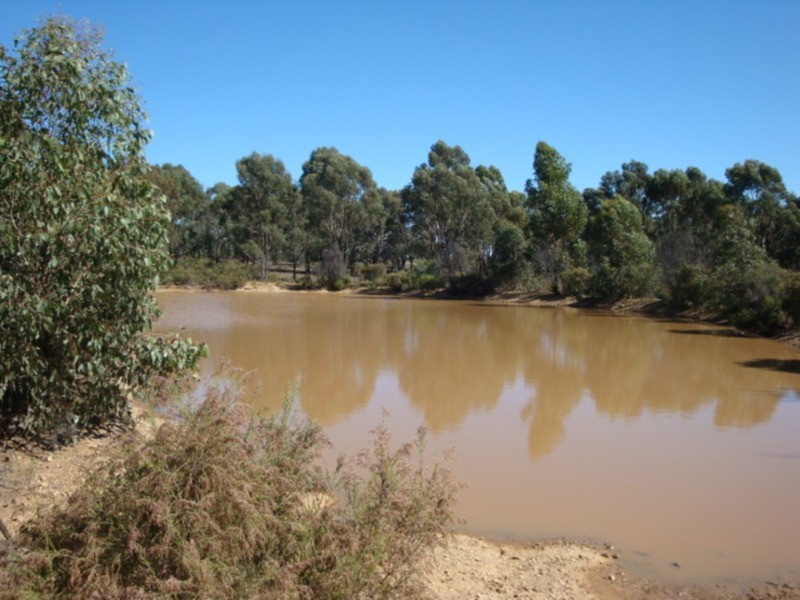 445 Native Gully Crescent, Strathfieldsaye VIC 3551