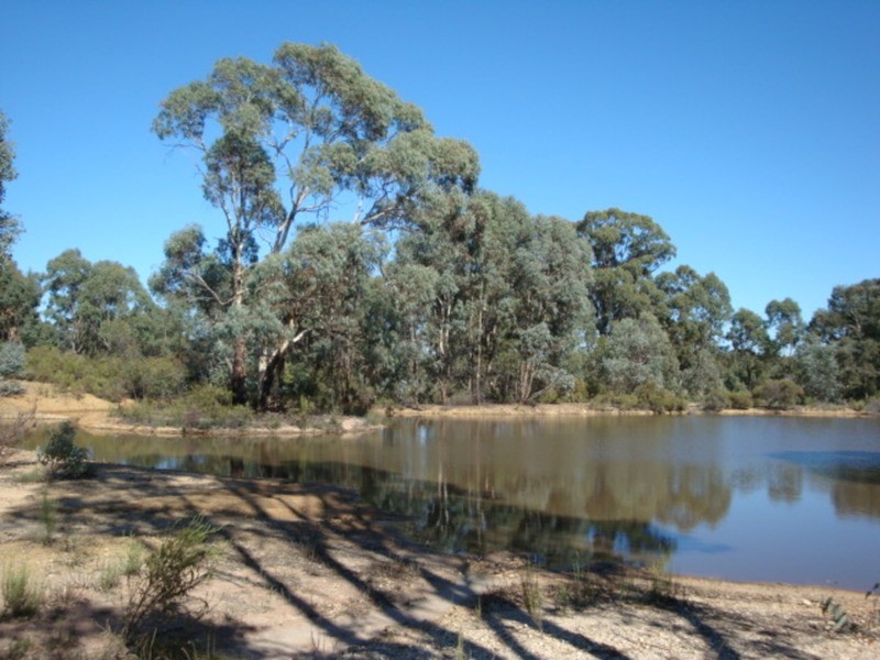 445 Native Gully Crescent, Strathfieldsaye VIC 3551