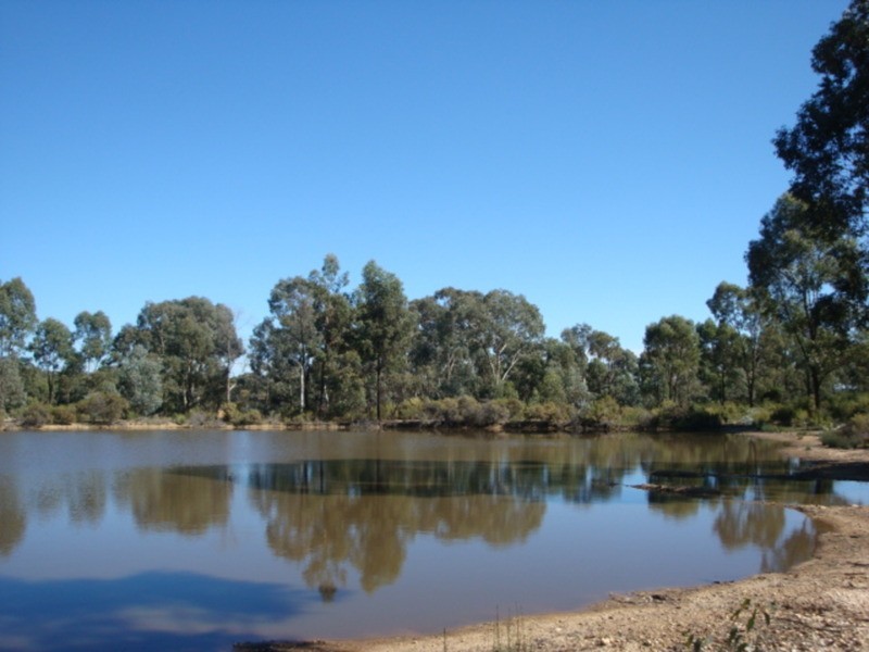 445 Native Gully Crescent, Strathfieldsaye VIC 3551