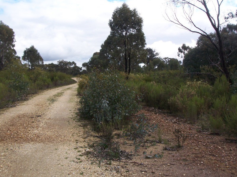 445 Native Gully Crescent, Strathfieldsaye VIC 3551