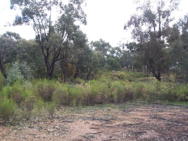 445 Native Gully Crescent, Strathfieldsaye VIC 3551