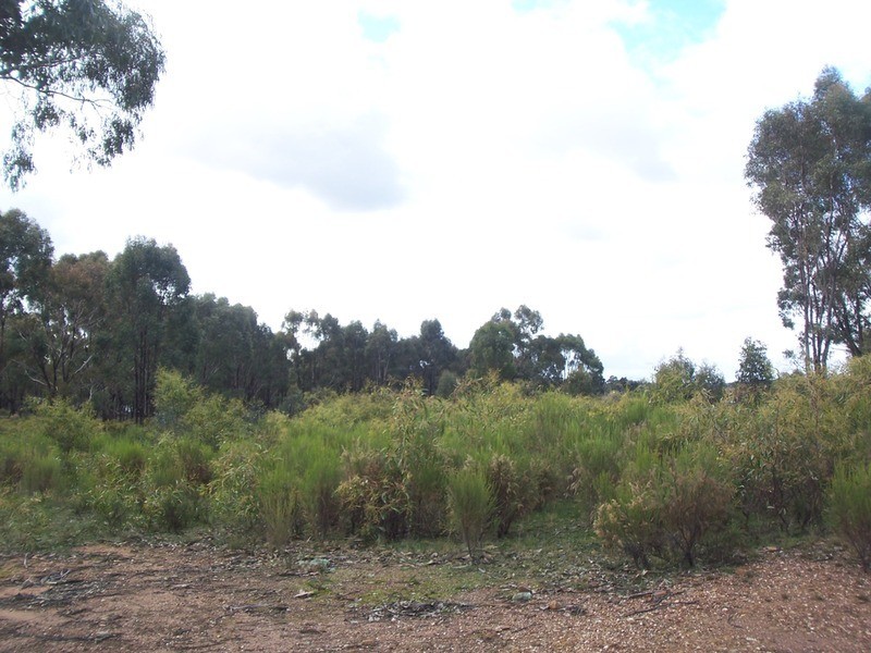 445 Native Gully Crescent, Strathfieldsaye VIC 3551