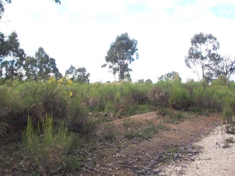 445 Native Gully Crescent, Strathfieldsaye VIC 3551