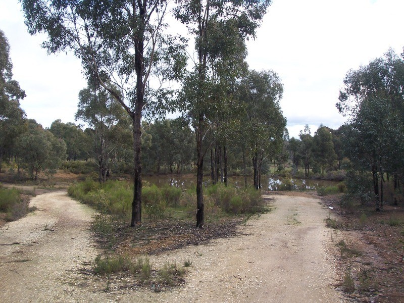 445 Native Gully Crescent, Strathfieldsaye VIC 3551