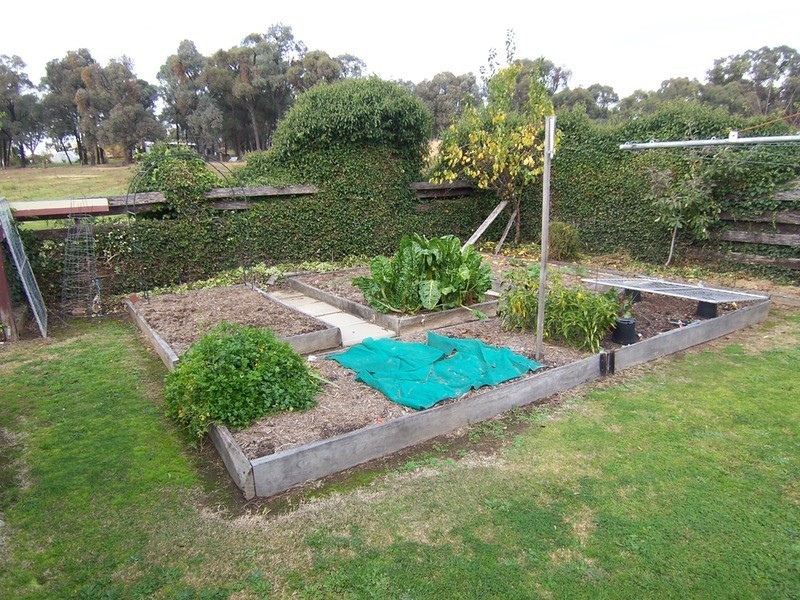 21 Burns Street, Spring Gully VIC 3550