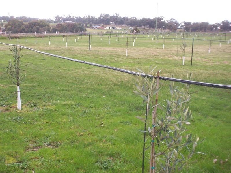 81 Mulberry Lane, Lockwood South VIC 3551