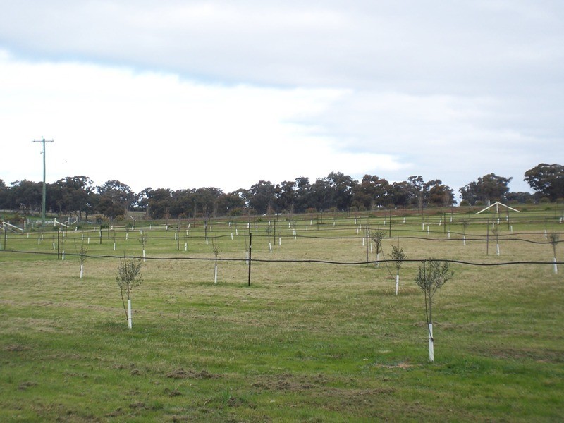 81 Mulberry Lane, Lockwood South VIC 3551
