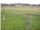 81 Mulberry Lane, Lockwood South VIC 3551