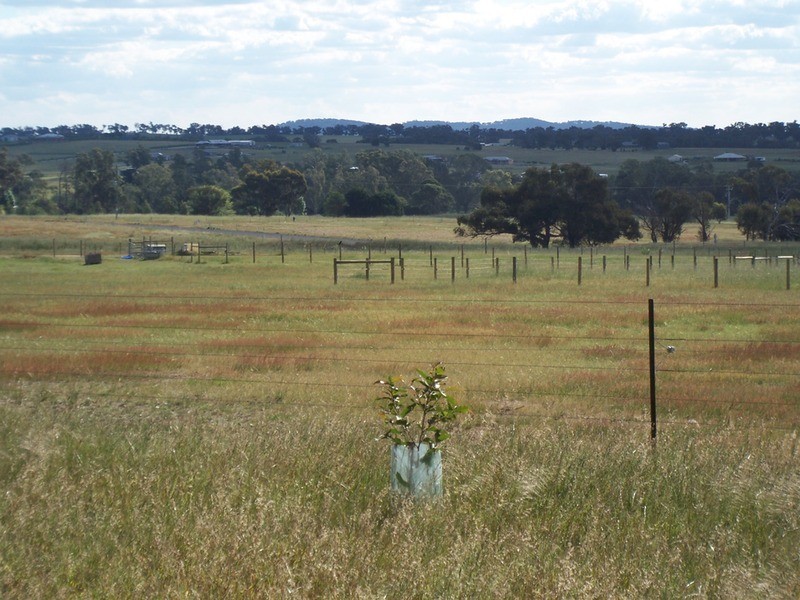 Lot 8 Hamilton Way, Lockwood South VIC 3551