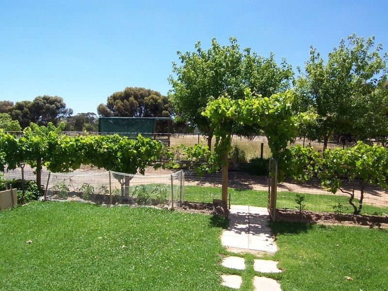 Lot 1 Boyles Road, Lockwood VIC 3551