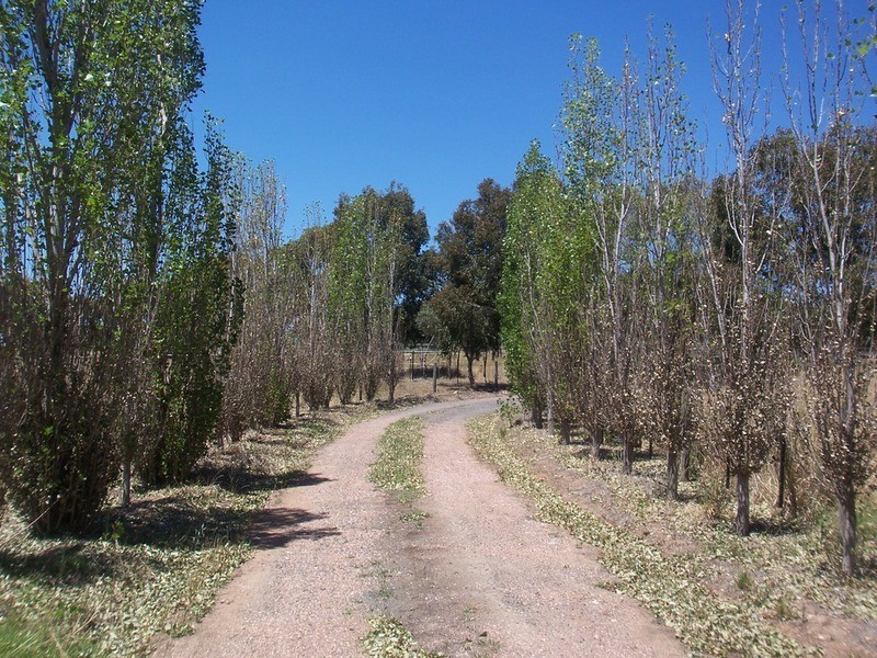 Lot 1 Boyles Road, Lockwood VIC 3551